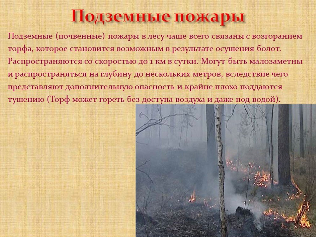 Характеристика лесных пожаров обж. Подземный пожар в лесу. Лесные и торфяные пожары. Подземные пожары презентация. Подземный торфяной пожар.
