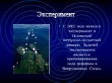 Эксперимент. С 2002 года начался эксперимент в Псковской воздушно-десантной дивизии. Задачей эксперимента является прогнозирования хода реформы в Вооруженных Силах.