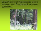 Среди богатств Кубани важное место занимает лес. Это основной источник древесины.