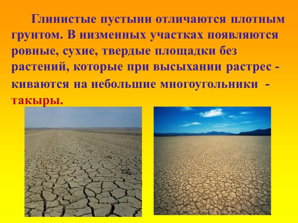 Окружающий мир 4 класс пустынь. Пустыни презентация. Презентация пустыни 4 класс. Презентация пустыня 4 класс.