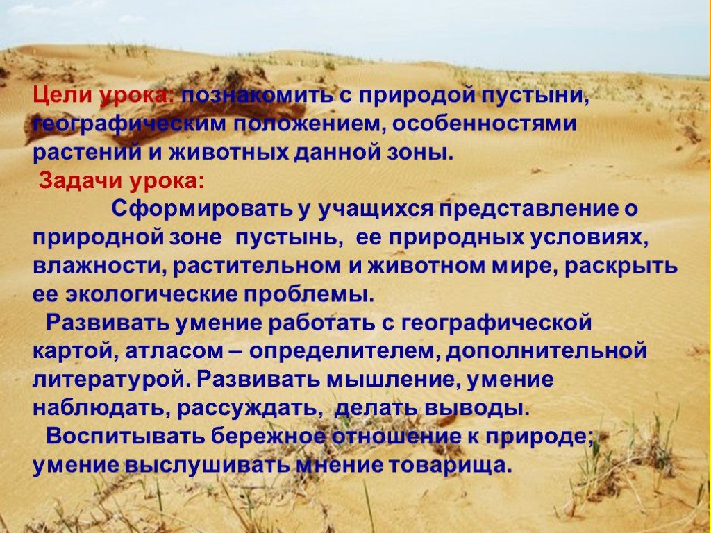 План пустыни. Вывод на тему природные зоны России. Вывод о пустынях. Цель проекта пустыни мира. Цели проекта на тему пустыня.