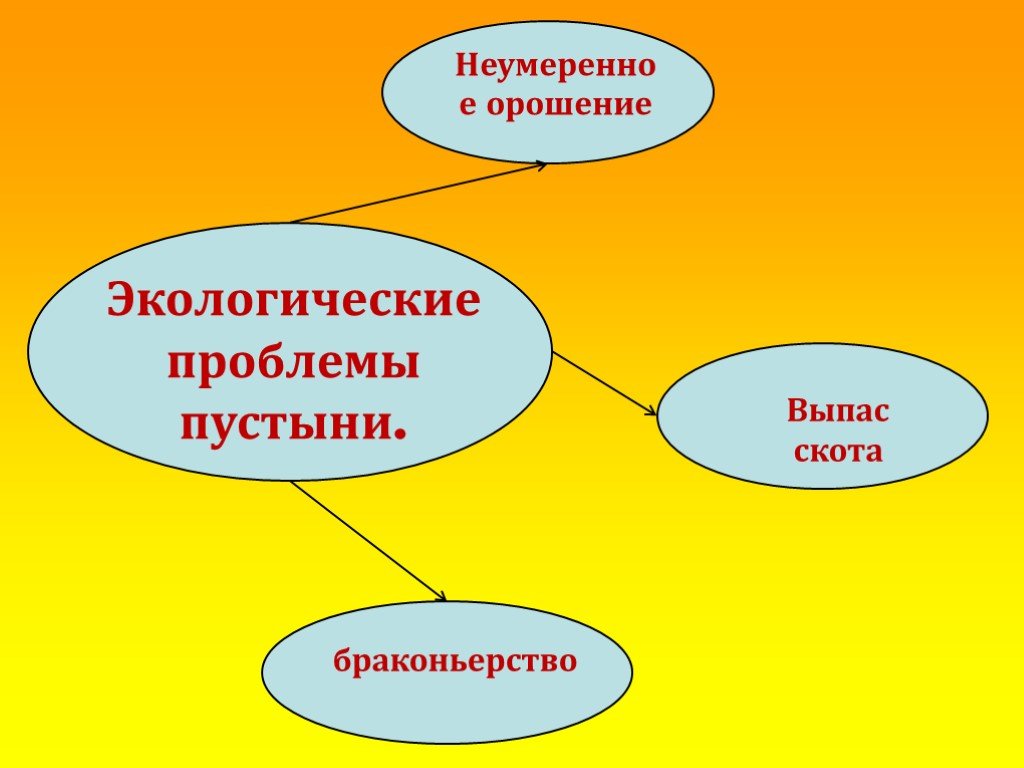 Проблемы в пустыне. Экологические проблемы пустынь. Проблемы пустыни. Кластер на тему пустыня. Экологические проблемы в пустыне.