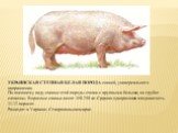 УКРАИНСКАЯ СТЕПНАЯ БЕЛАЯ ПОРОДА свиней, универсального направления. По внешнему виду свиньи этой породы схожи с крупными белыми, но грубее сложены. Взрослые свиньи весят 350-250 кг. Средняя одноразовая плодовитость - 11-12 поросят. Разводят в Украине, Ставропольском крае.