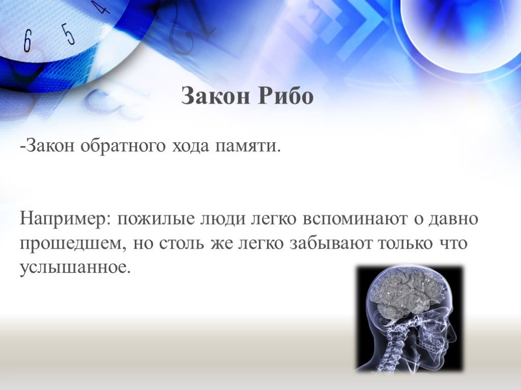 Презентация на тему память по анатомии