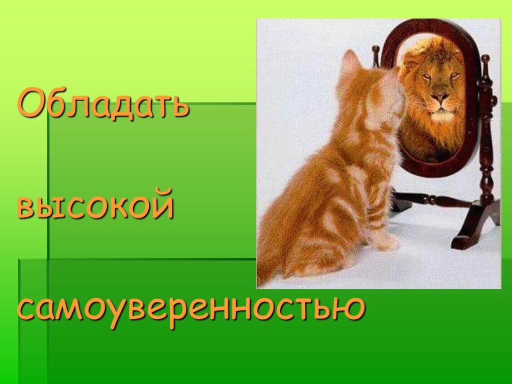 Самоуверенность самоуверенности выражение. Самоуверенность рисунок. Уровень самоуверенности. Моя самоуверенность. Картинки силы и самоуверенности.