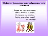 Найдите фразеологизм, объясните его значение. С виду мы не очень схожи: Петька толстый, я худой. Не похожи мы, а всё же Нас не разольёшь водой! (Б. Заходер)