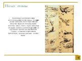 Полет птицы. Благодаря систематическим исследованиям полета птицы, Леонардо решил заменить полет при помощи машущих крыльев планирующим полетом. Около 1505 г. была закончена его книга “Сodice sul Volo degli Uccelli” (в настоящее время она находится в Турине, в бывшей Королевской библиотеке). Данные 