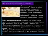 Радиоактивное заражение местности. Возникает в результате выпадения радиоактивных веществ из облака ядерного взрыва во время его движения. Постепенно оседая на поверхность земли, радиоактивные вещества создают участок радиоактивного заражения, который называется радиоактивным следом. Зона умеренного