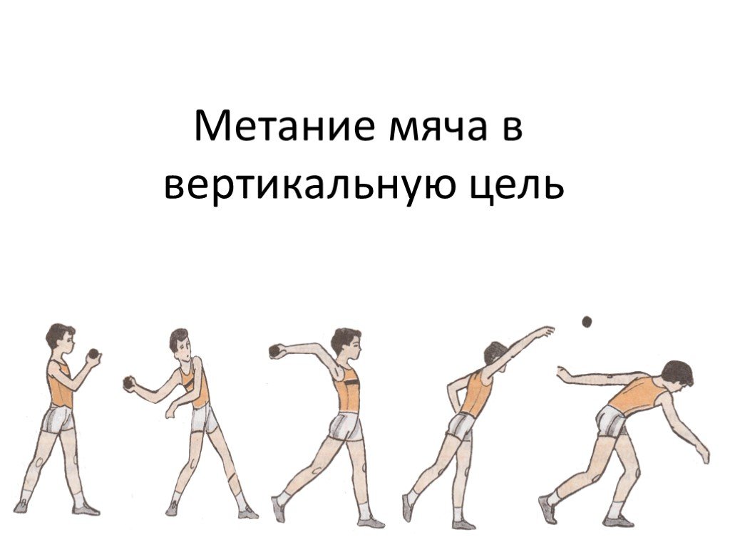 Презентация 