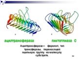 ацилтрансфераза пиктатлиаза С. Ацилтрансфераза— фермент, тип трансферазы, переносящей ацильную группу на молекулу субстрата.