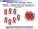 Четвертичная структура белков. ОБРАЗОВАНИЕ ЧЕТВЕРТИЧНОЙ СТРУКТУРЫ ГЛОБУЛЯРНОГО БЕЛКА ферритина при объединении молекул в единый ансамбль. Ферритин — глобулярный белковый комплекс, состоящий из 24 субъединиц и выполняющий роль основного внутриклеточного депо железа.