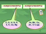 макроэлементы микроэлементы Fe, Mn, Cu, Zn, Cr и др. C, O, H, N, P, S, K, Ca, Mg