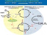 Суммарное уравнение процесса фотосинтеза 6СО2 + 6Н2О свет, хлорофилл	С6Н12 О6 +6О2
