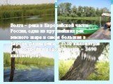 Волга – река в Европейской части России, одна из крупнейших рек земного шара и самая большая в Европе. Длина реки – 3530 километров (до постройки водохранилищ – 3690 километров).