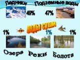 воды суши Ледники Подземные воды Озера Реки Болота 49% 47%