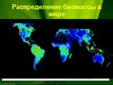 Распределение биомассы в мире