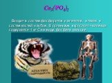 Ca3(PO4)2. Входит в состав фосфоритов и апатитов, а также в состав костей и зубов. В организме взрослого человека содержится 1 кг Са в виде фосфата кальция.