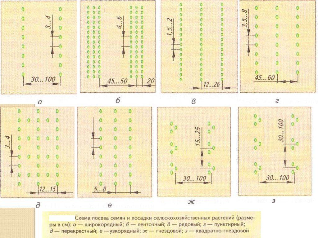 Рядовая схема посева