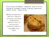 Самое большое разнообразие в татарской кухне по сей день существует в рецептуре выпечки из пресного, дрожжевого, сдобного, кислого, сладкого теста. Наиболее древним и простым пирогом является кыстыбый - комбинация пресного теста (в виде сочня) с пшенной кашей и с картофельным пюре.