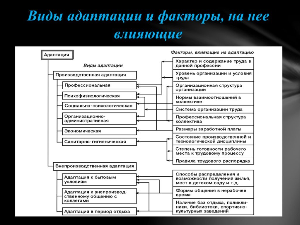 Виды адаптаций схема