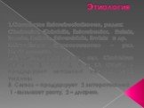 Этиология. 1.Семейство Enterobocteriaceae, родов: Citrobacter, Klebsiella, Enterobacter, Hafnia, Serrata, Proteus, Edwardsiella, Erwinia и др. 2.Семейство Micrococcaceae – род Staphilococcus. 3.Семейство Bacillaceae – род Сlostridium типов А, B, C, D, E, F, и Cl. Difficille - продуцируют летальный н