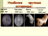 Наиболее крупные астероиды: Паллада (535 км.) Веста (525 км.) Гигия (425 км.) Церера (975 км)