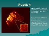Puppis A. Один из самых известных компактных рентгеновских источников в остатках сверхновых. Возраст около 3700 лет. Возможно, что прародителем была очень массивная звезда (около 30 масс Солнца).