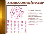 Хромосомный набор. Парные хромосомы – гомологичные Хромосомный набор, представленный парными хромосомами – диплоидный (2n) Хромосомный набор, содержащий одинарный набор хромосом – гаплоидный (n)
