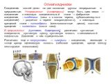 Соединения костей делят на две основные группы: непрерывные и прерывистые. Непрерывные (синартрозы) могут быть трех видов — соединение с помощью соединительной ткани — фиброзное соединение – синдесмоз (швы в в костях черепа, зубоальвеолярное соединение) – роднички в черепе новорожденного), с помощью