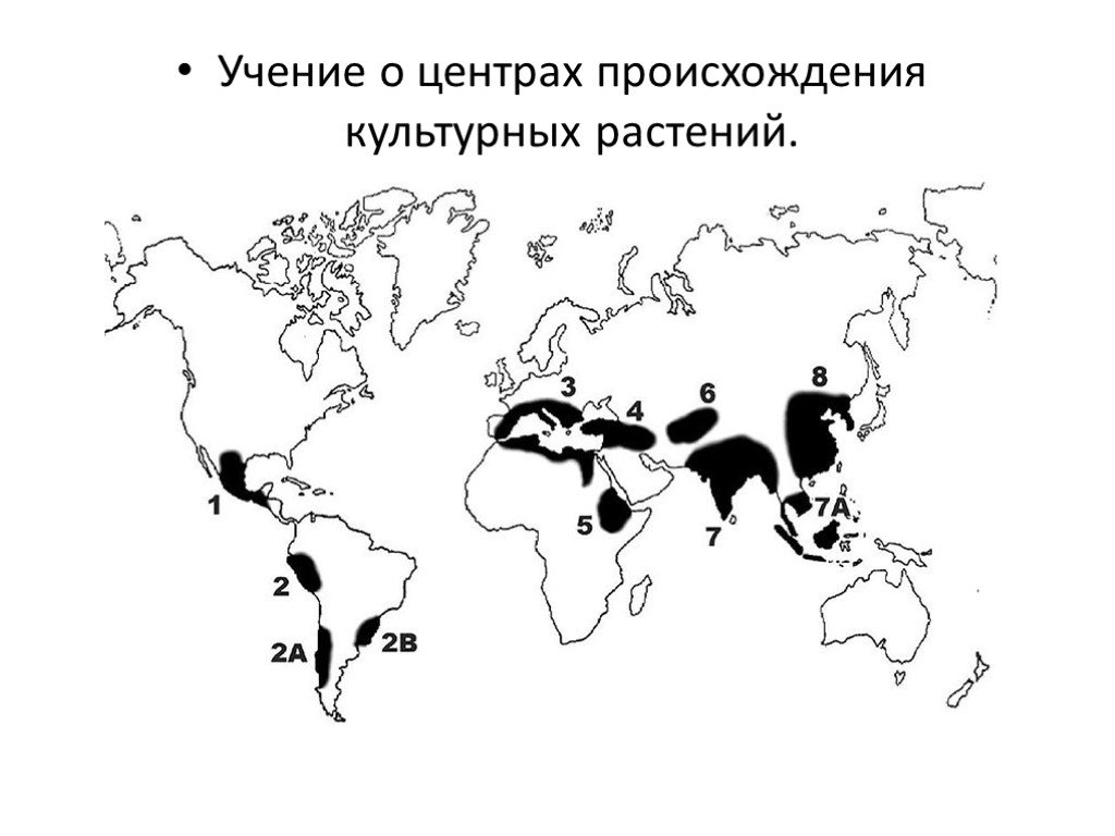 Центры происхождения культурных растений по вавилову презентация