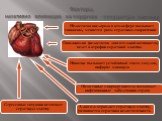 Факторы, негативно влияющие на сердечно - сосудистую систему. Недостаток кислорода в атмосфере вызывает гипоксию, меняется ритм сердечных сокращений. Гиподинамия (недостаток двигательной активности) ведет к атрофии сердечной мышцы. Никотин вызывает устойчивый спазм сосудов, инфаркт миокарда. Патоген