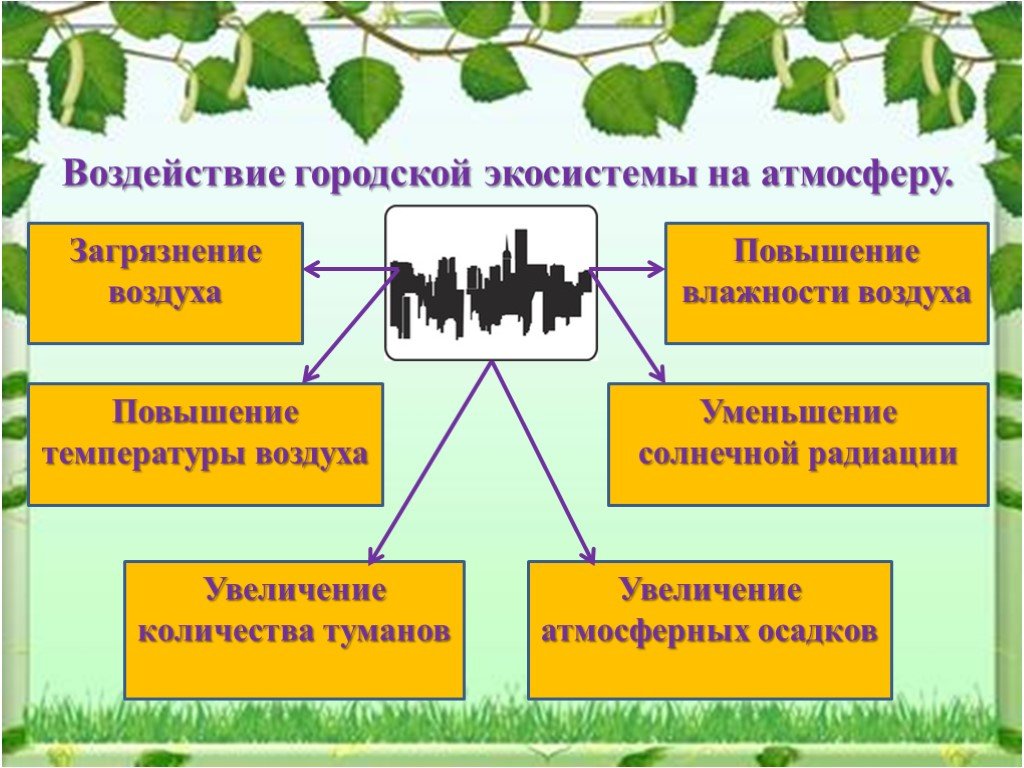 Какие факторы влияют на экосистему. Влияние на окружающую среду биогеоценоза. Экология презентация. Презентация на тему социальная экология. Воздействие на экосистему.