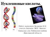 Нуклеиновые кислоты. Работу выполнила Целикова И.В. учитель биологии МОУ Николо-Кормская сош Рыбинского района Ярославской области