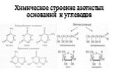 Химическое строение азотистых оснований и углеводов