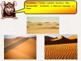 В основном Сахара сложена песками. Они чрезвычайно подвижны и образуют барханы и дюны.