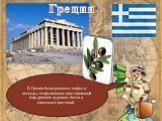 Греция. В Греции были рождены мифы и легенды, открывающие вам сказочный мир древних чудовищ, богов и сказочных растений.