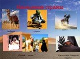 Население страны берберы туареги арабы Религия - ислам. Жительница Северной Африки
