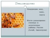 Пчеловодство. Продукция: мед, воск, перга Место размещение: степные и лесостепные районы России (Алтай, Башкирия)