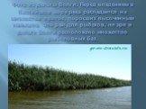 Фото из дельты Волги. Перед впадением в Каспийское море река распадается на множество проток, поросших высоченным камышом. Это рай для рыбаков, не зря в дельте Волги расположено множество рыболовных баз.