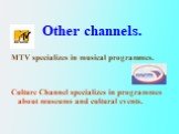 MTV specializes in musical programmes. Culture Channel specializes in programmes about museums and cultural events. Other channels.