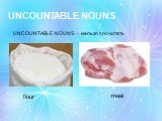 UNCOUNTABLE NOUNS. UNCOUNTABLE NOUNS – нельзя посчитать. flour meat