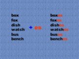 box fox dish watch bus bench. boxes foxes dishes watches buses benches. + es