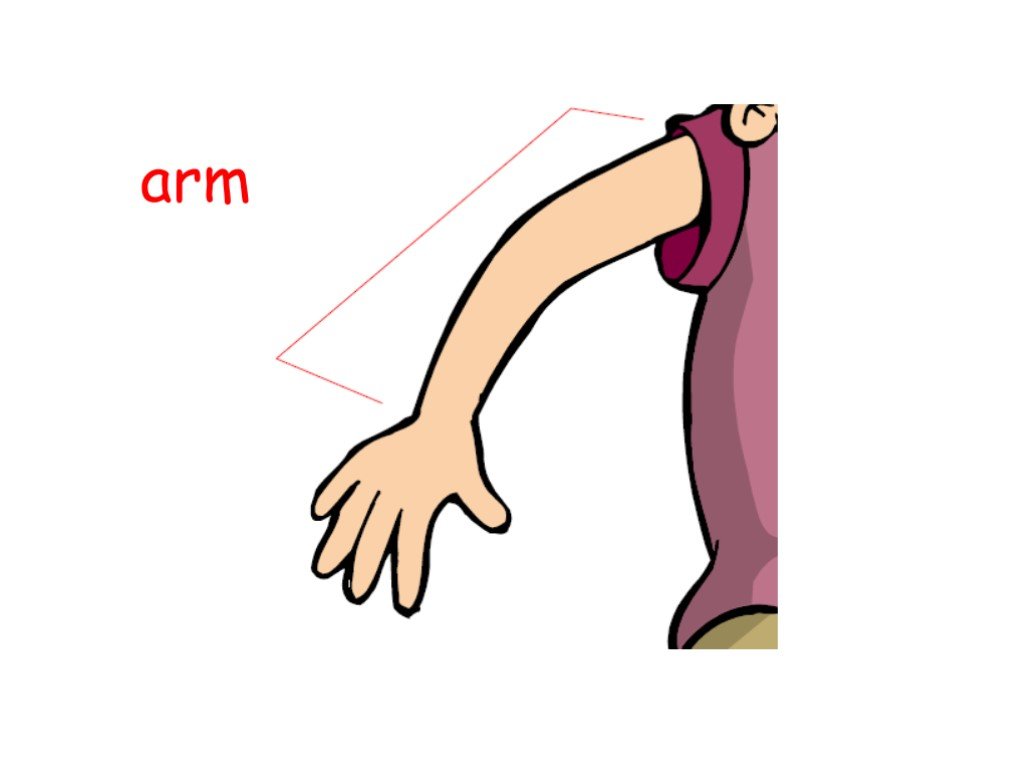 Английский язык leg. Части тела руки для детей. Arm картинка для детей. Arm часть тела. Карточки для английского рука.