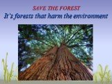 SAVE THE FOREST It’s forests that harm the environment