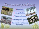 Here are our problems: Littering Air pollution Water pollution Endangered species Destruction of natural resources