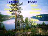 Pollution Ecology Toxins water chemicals flowers litter animals cans trees birds fish