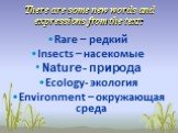 There are some new words and expressions from the text: Rare – редкий Insects – насекомые Nature- природа Ecology- экология Environment – окружающая среда