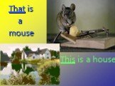 This is a house That is a mouse