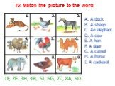 IV. Match the picture to the word. 1. 2. 3. 4. 6. 7. 8. 9. A. A duck B. A sheep C. An elephant D. A cow E. A hen F. A tiger G. A camel H. A horse I. A cockerel. 1F, 2E, 3H, 4B, 5I, 6G, 7C, 8A, 9D.