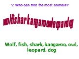 V. Who can find the most animals? wolfisharkangaroowleopardog. Wolf, fish, shark, kangaroo, owl, leopard, dog